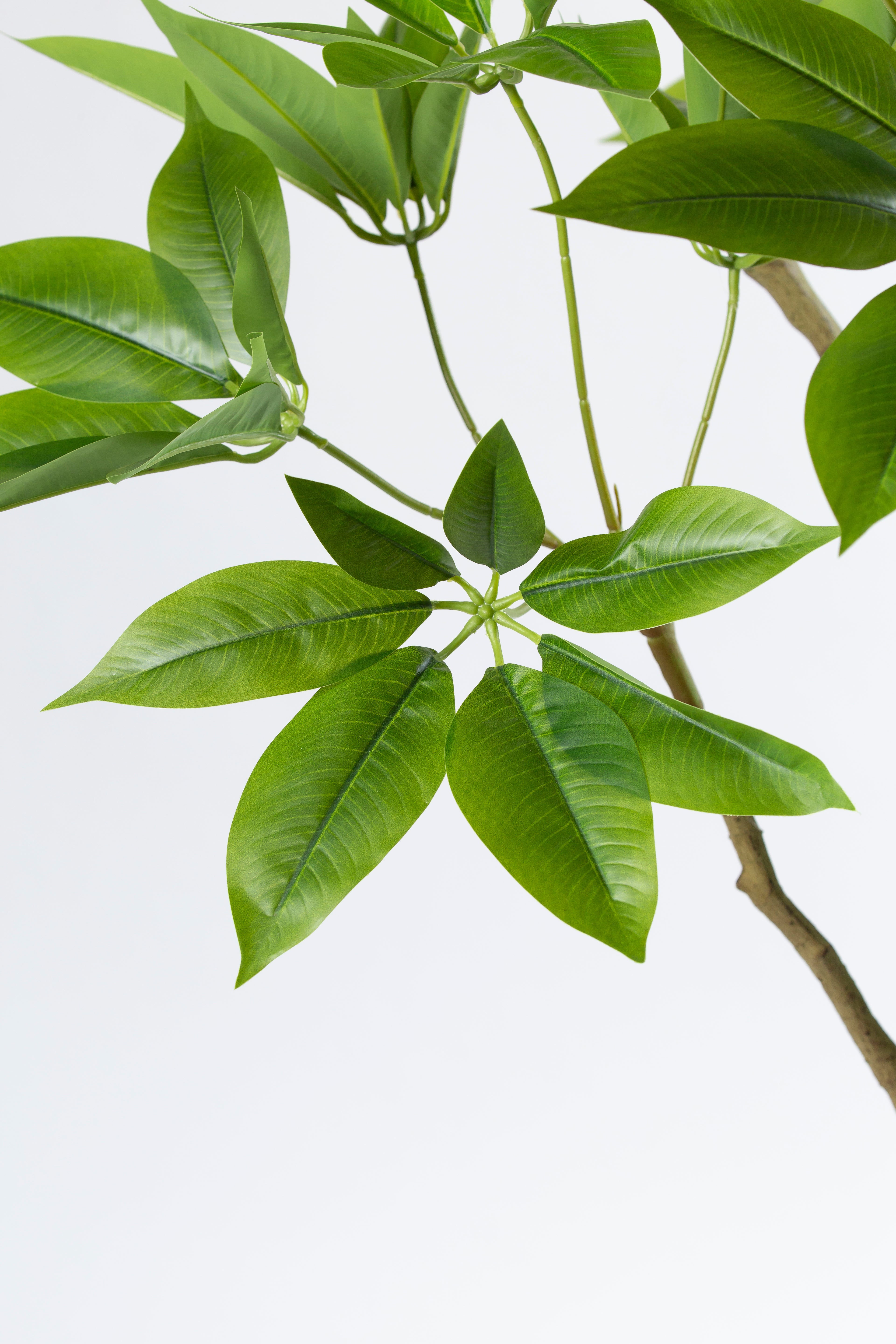 Pachira kunstplant 180 cm