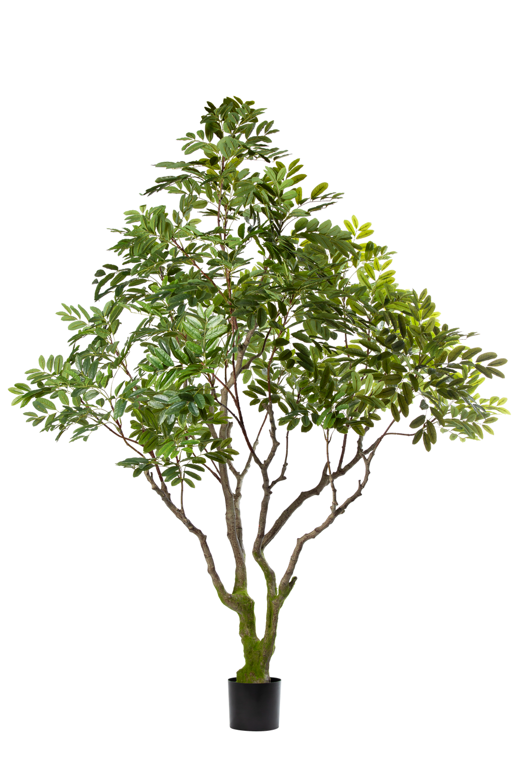 Khaya kunstplant 240 cm