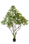 Khaya kunstplant 240 cm