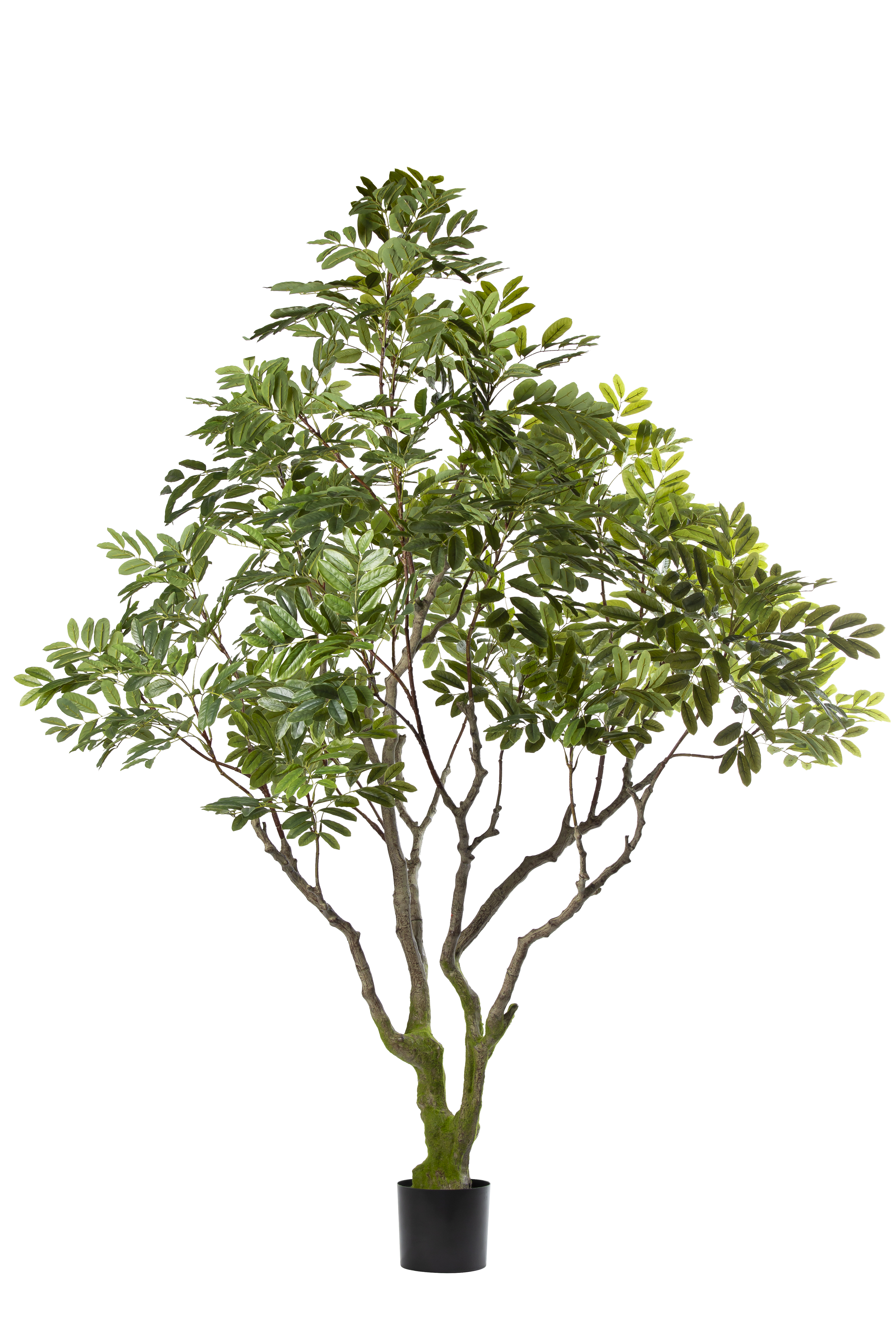 Khaya kunstplant 240 cm