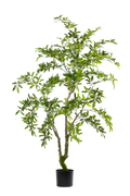 Aralia kunstplant 175 cm