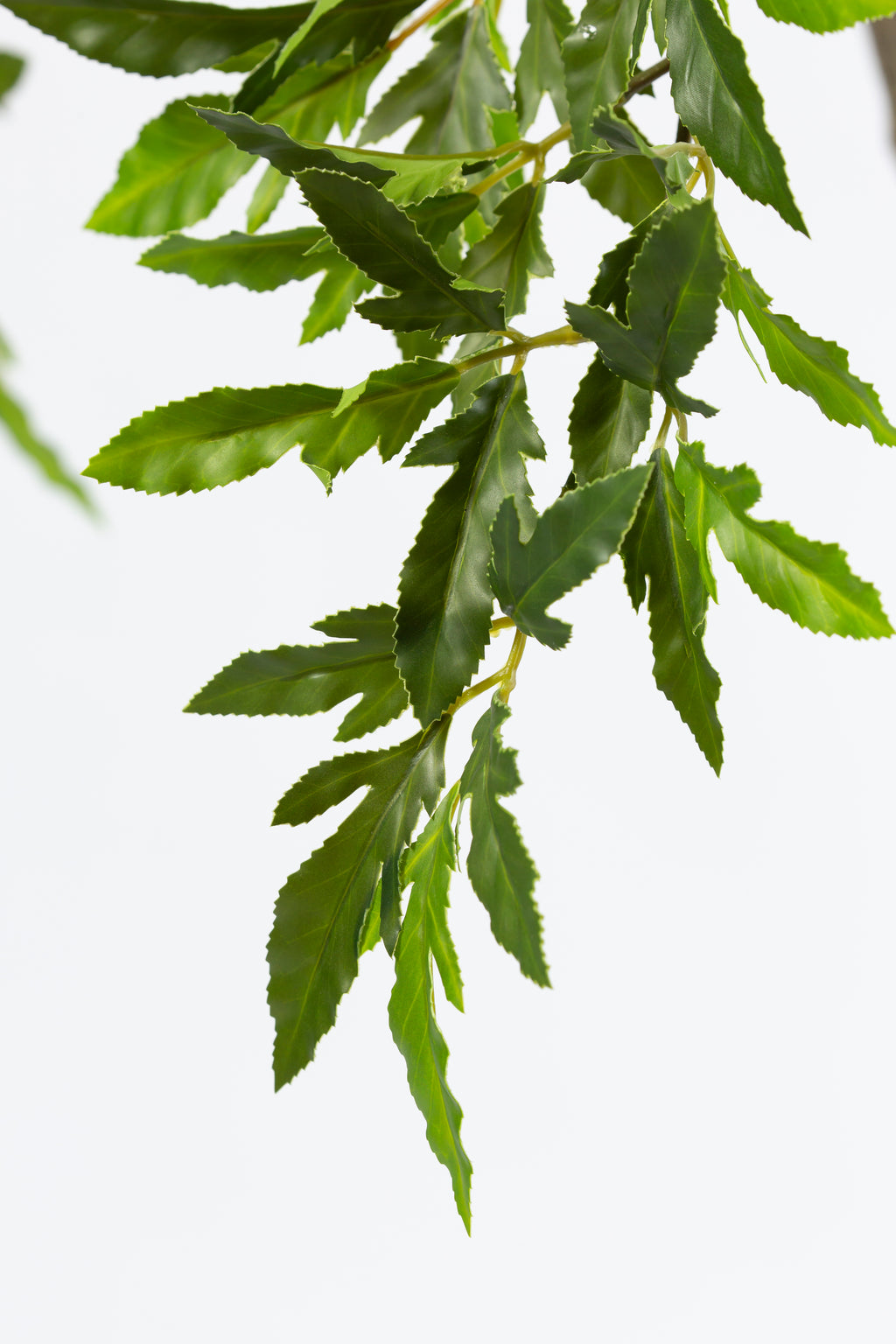 Aralia kunstplant 175 cm