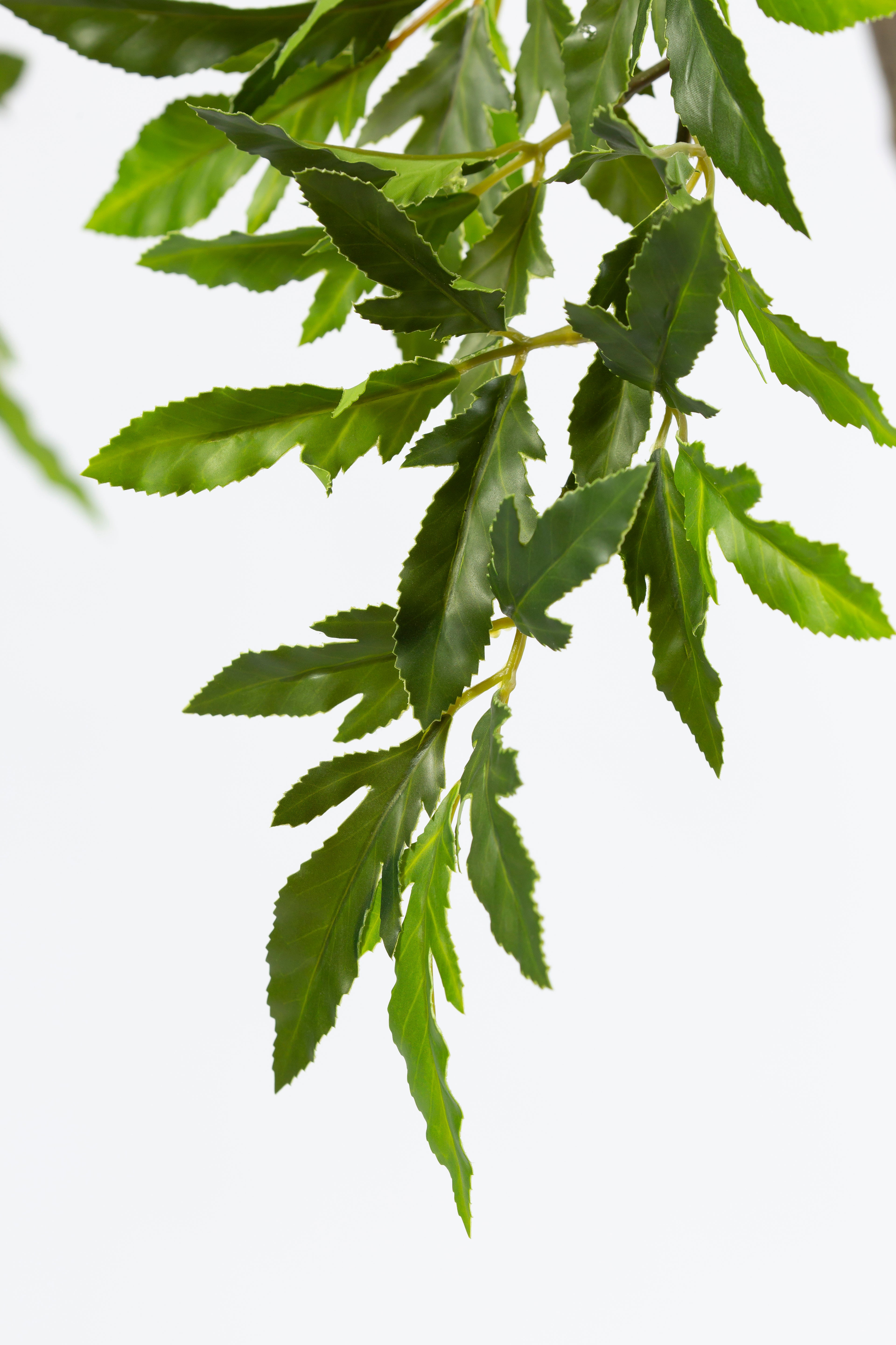 Aralia kunstplant 175 cm