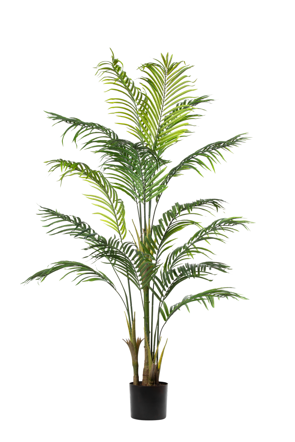 Palm Tree kunstplant 183 cm