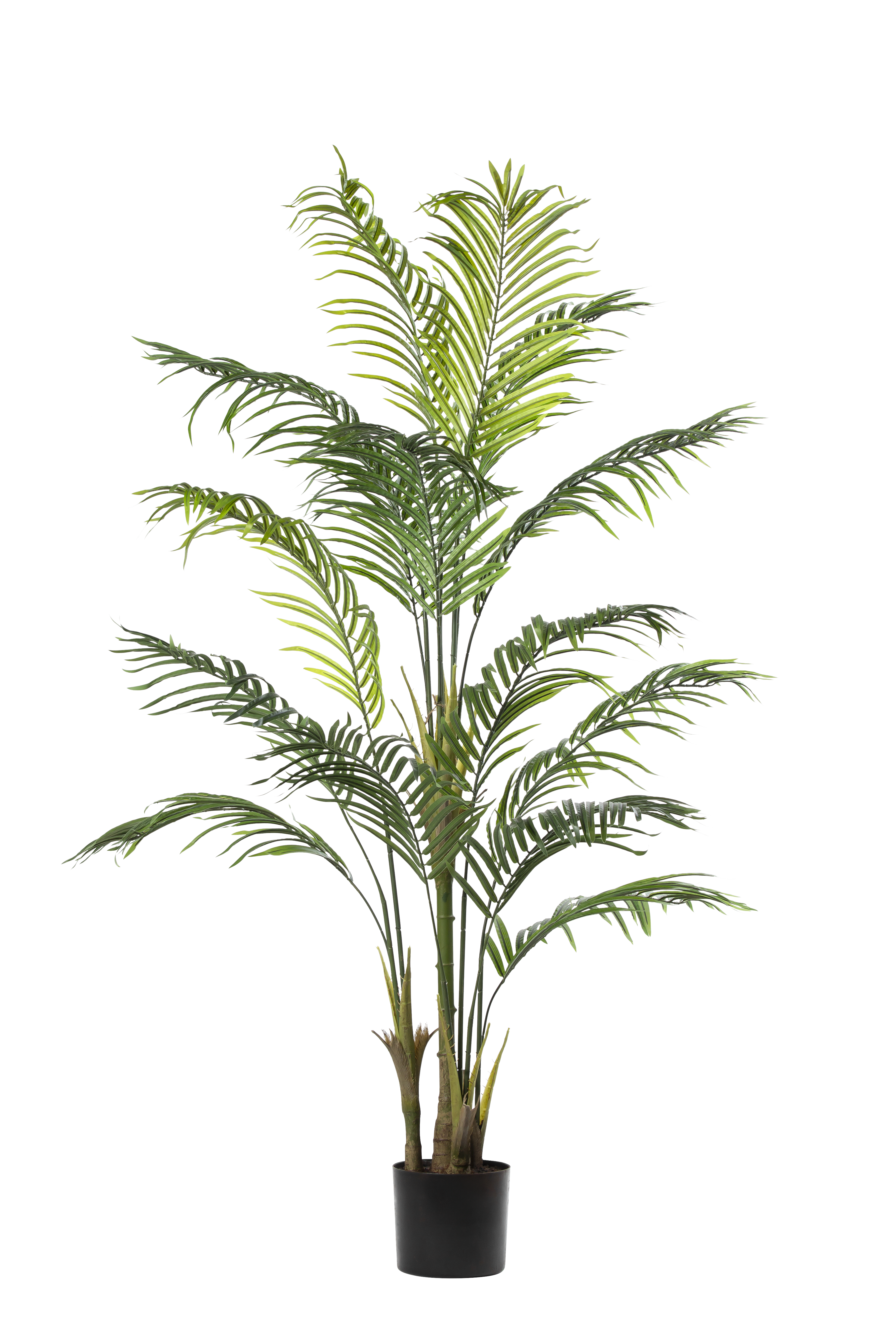 Palm Tree kunstplant 183 cm