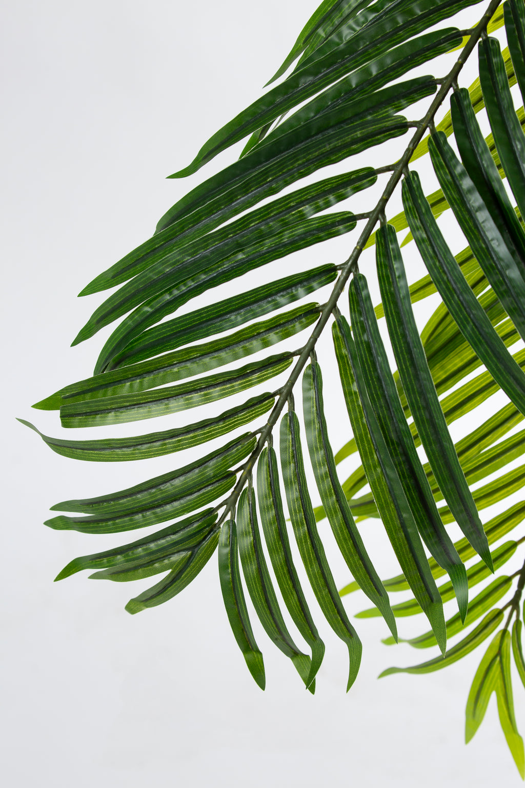 Palm Tree kunstplant 183 cm