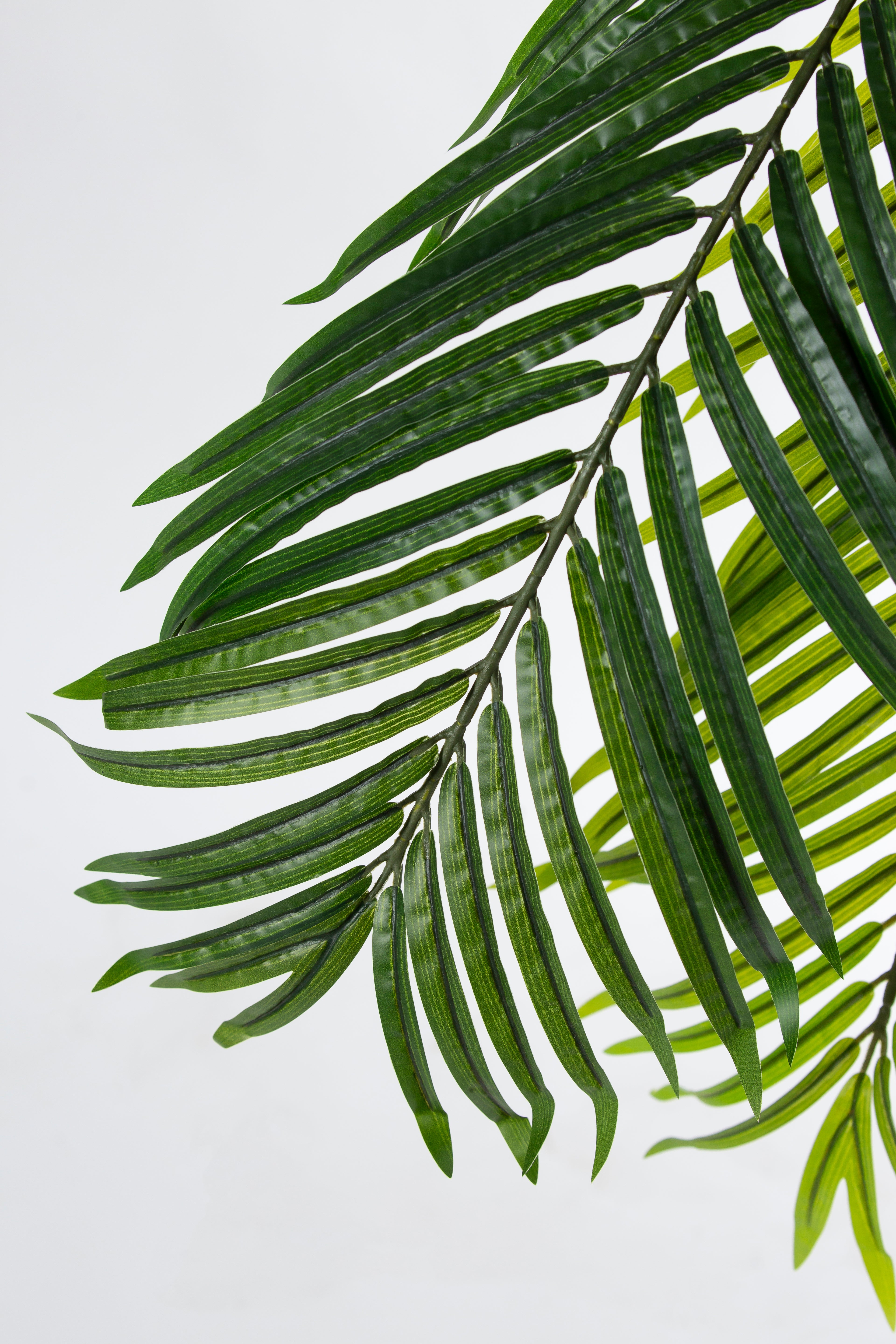 Palm Tree kunstplant 183 cm