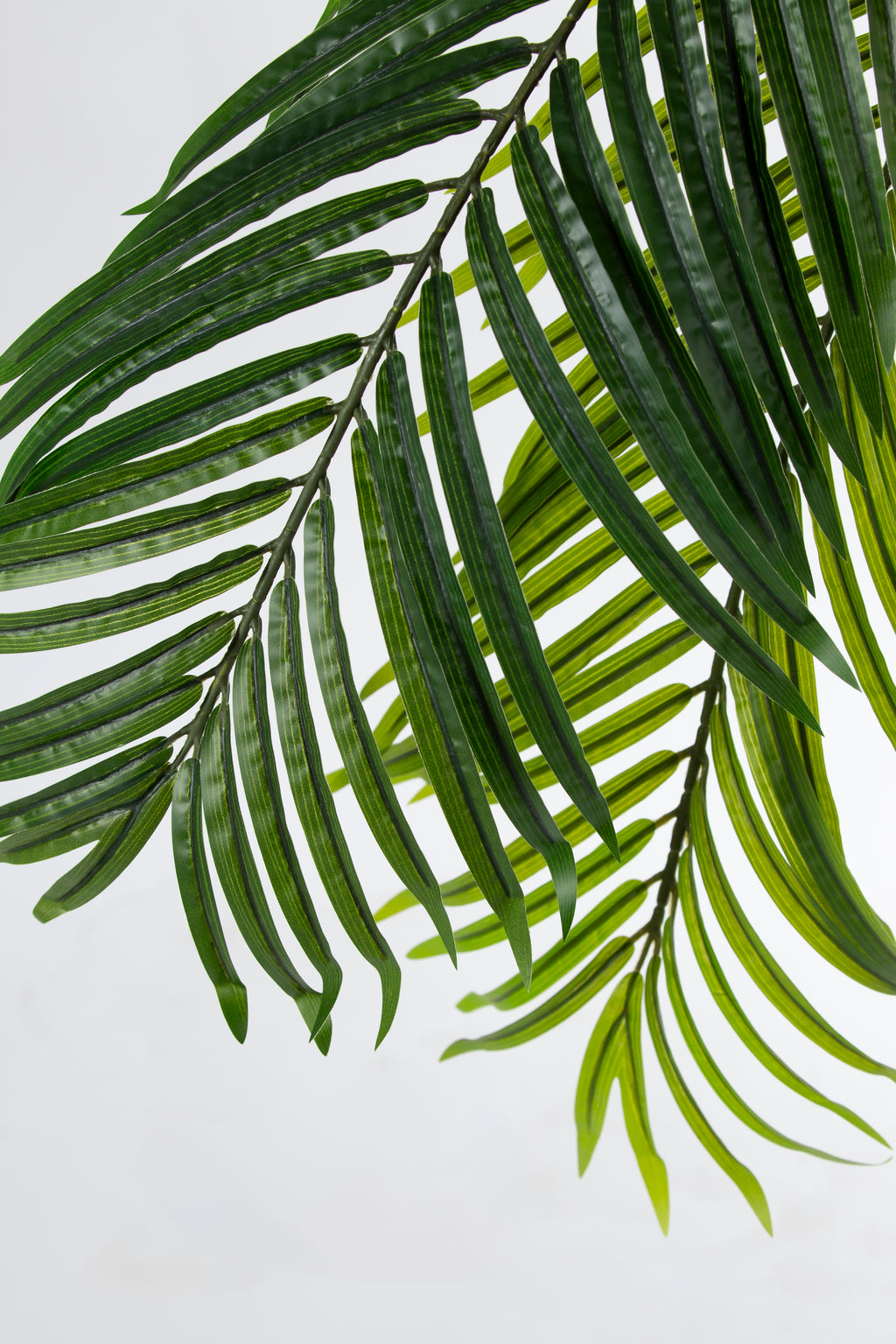 Palm Tree kunstplant 250 cm