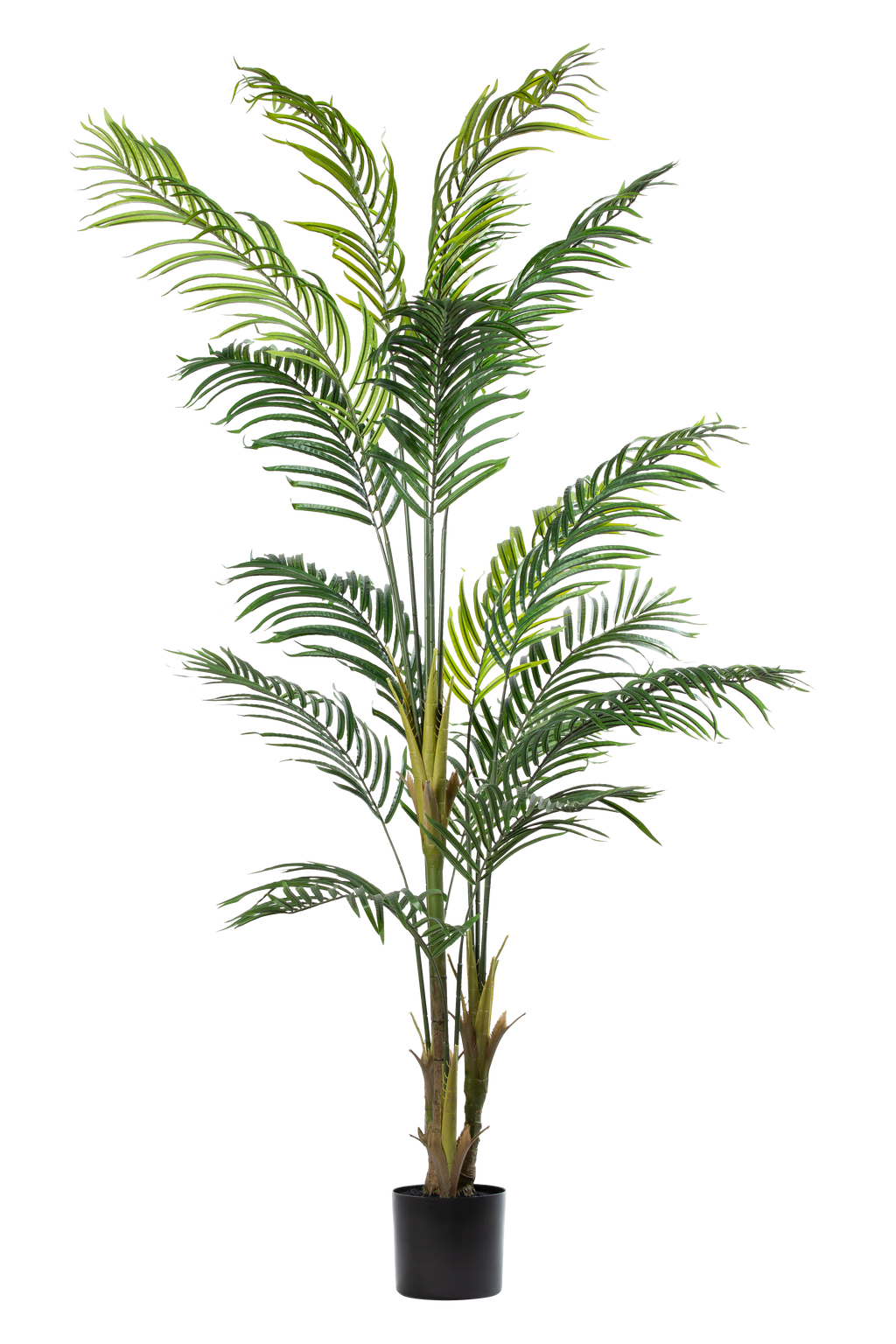 Palm Tree kunstplant 220 cm