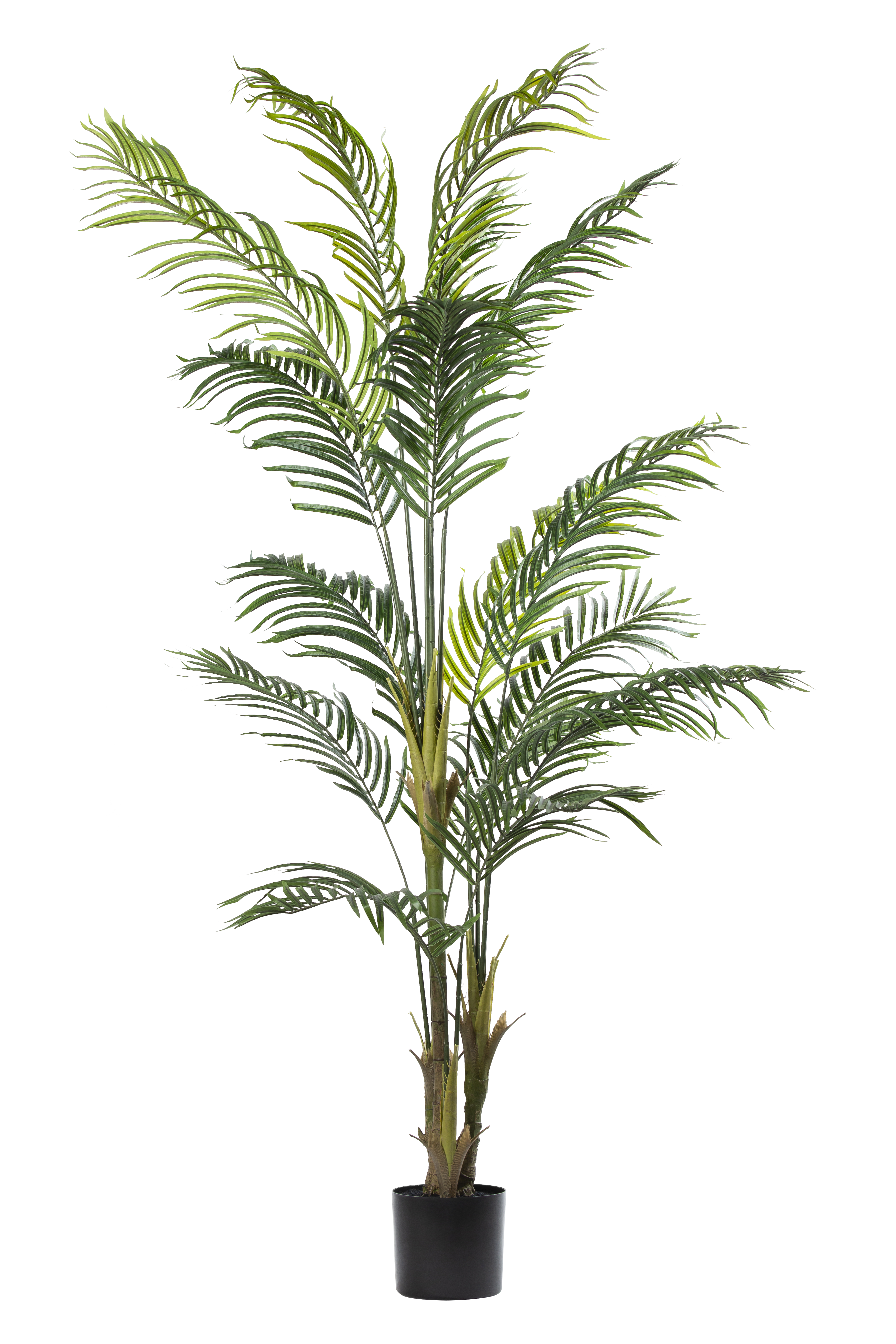 Palm Tree kunstplant 220 cm
