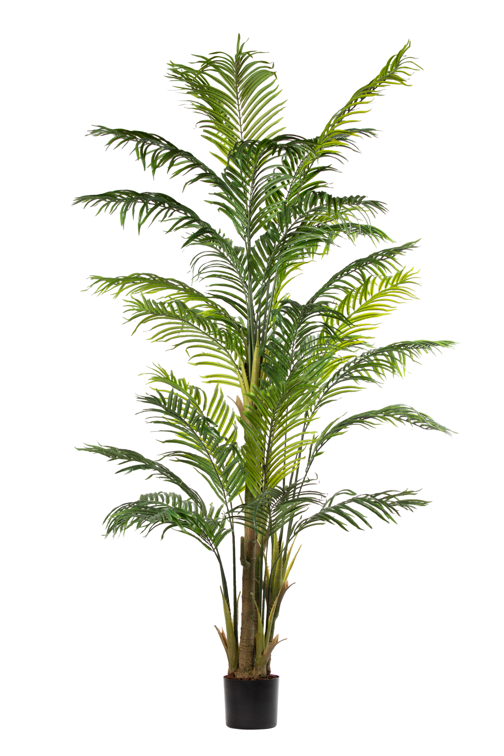 Palm Tree kunstplant 250 cm
