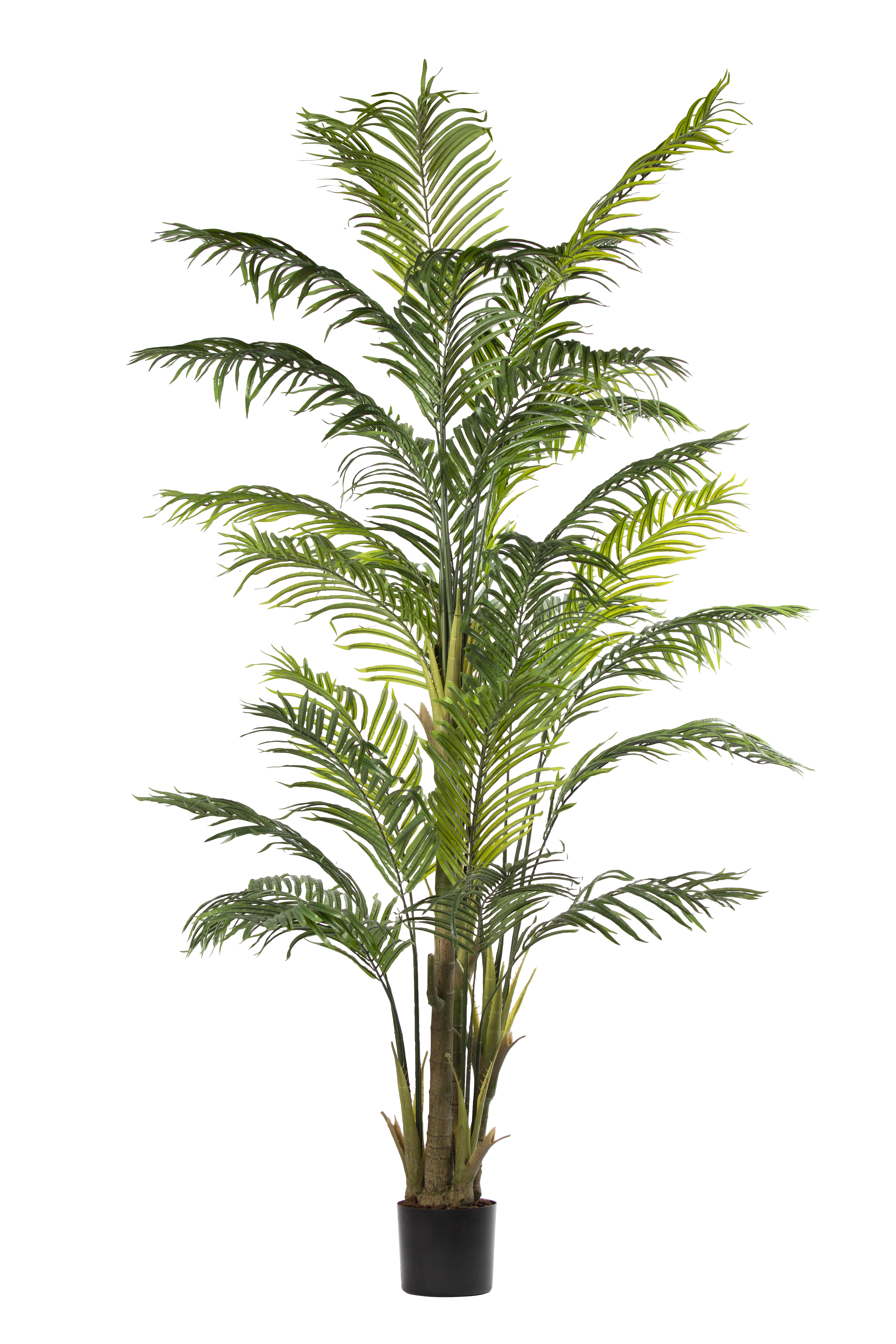 Palm Tree kunstplant 250 cm
