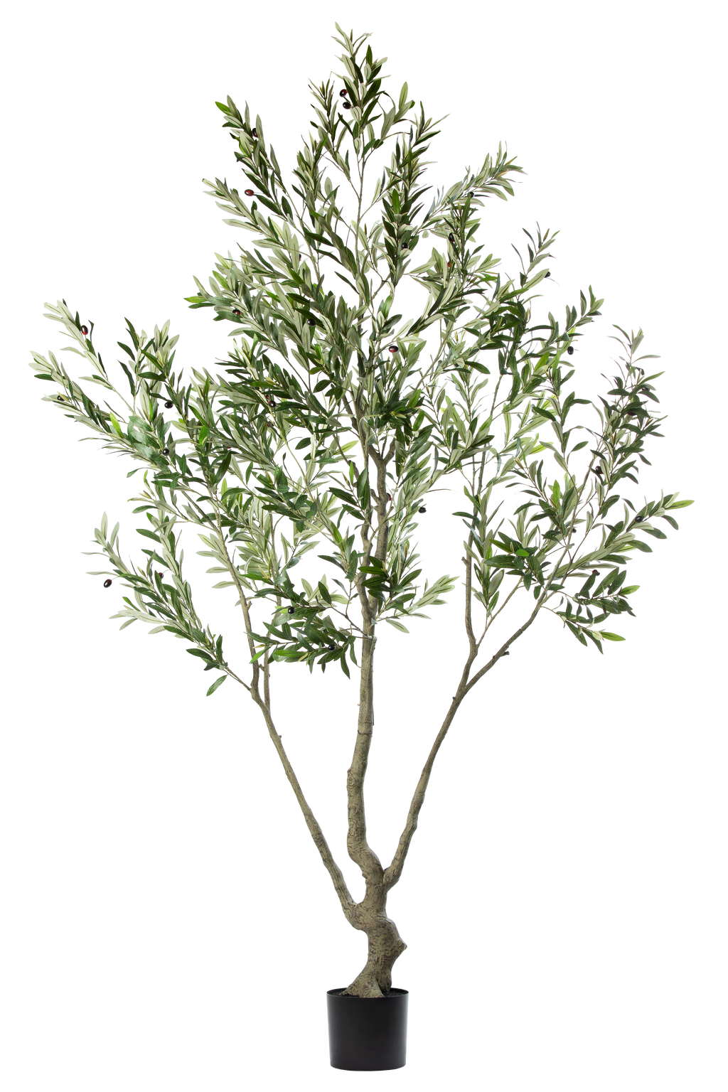 Olive Tree kunstplant 240 cm