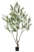 Olive Tree kunstplant 240 cm