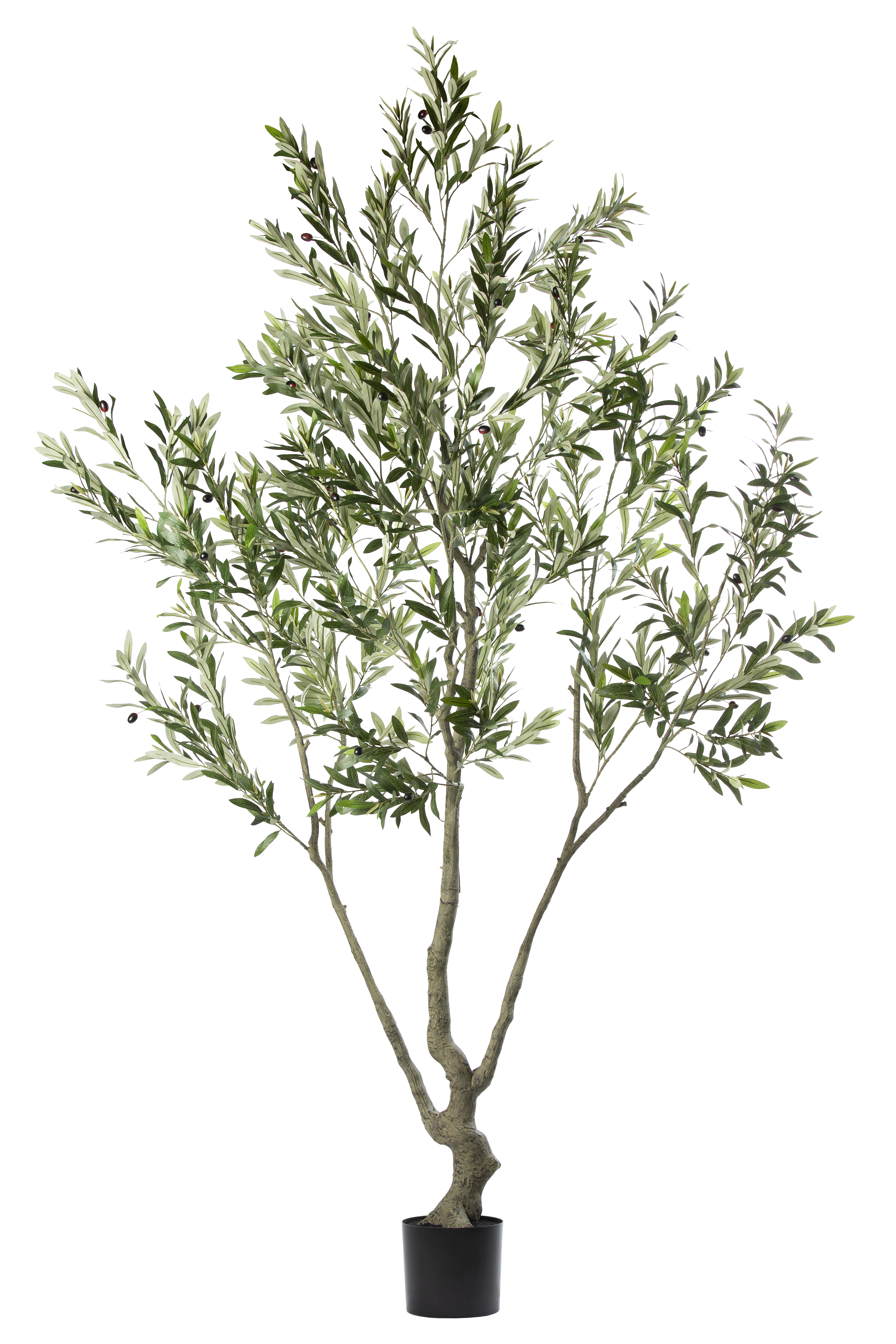 Olive Tree kunstplant 240 cm