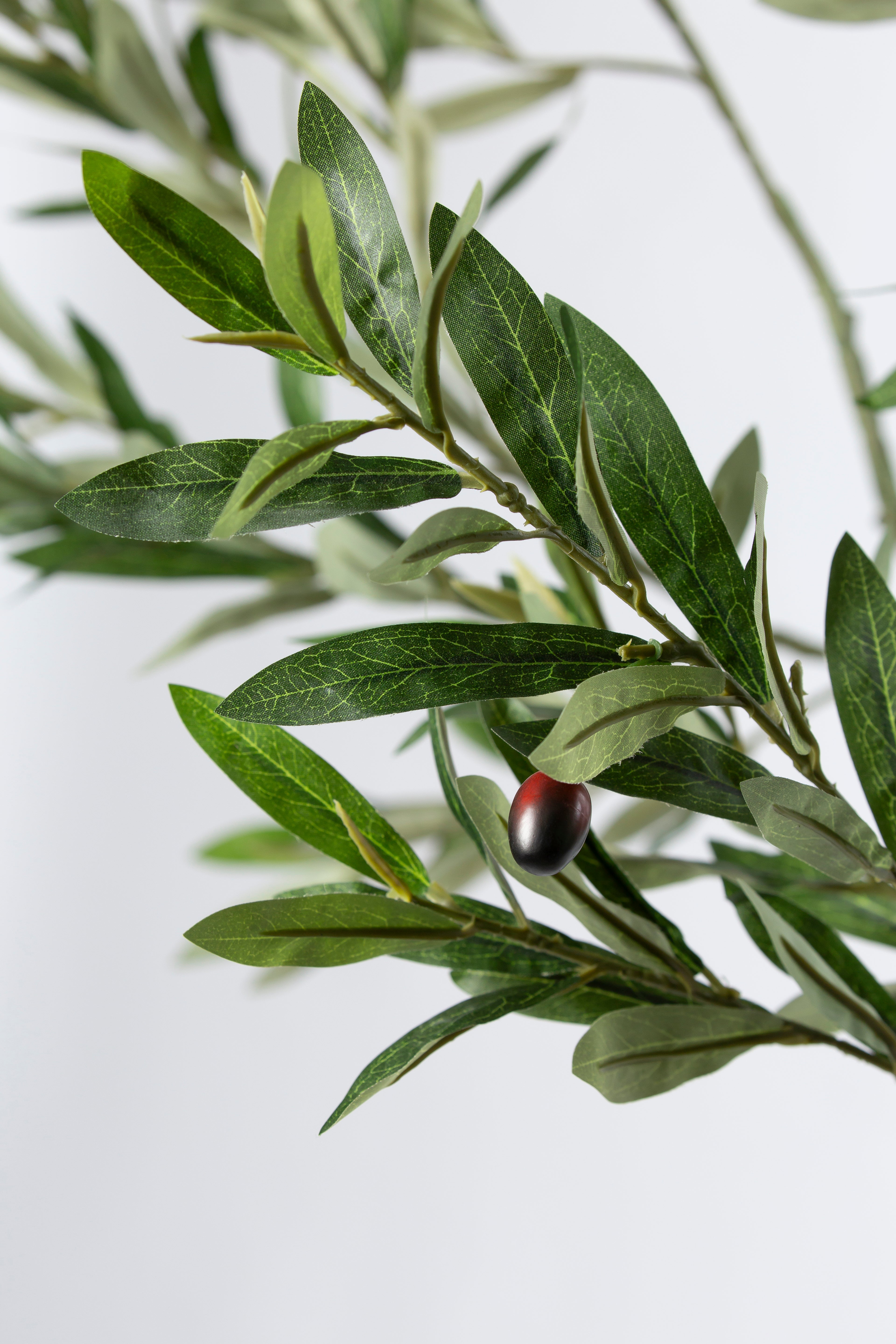 Olive Tree kunstplant 210 cm