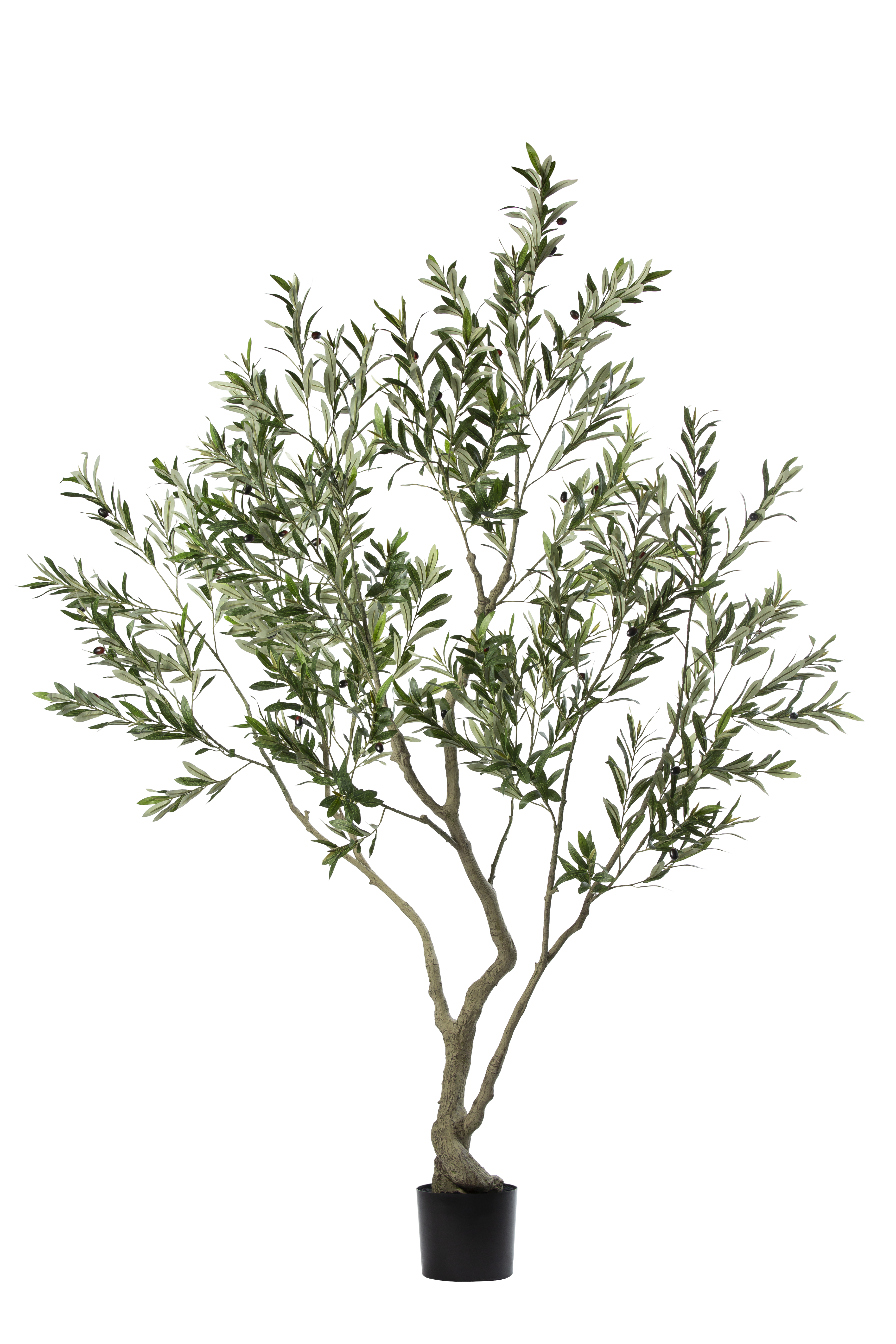 Olive Tree kunstplant 210 cm