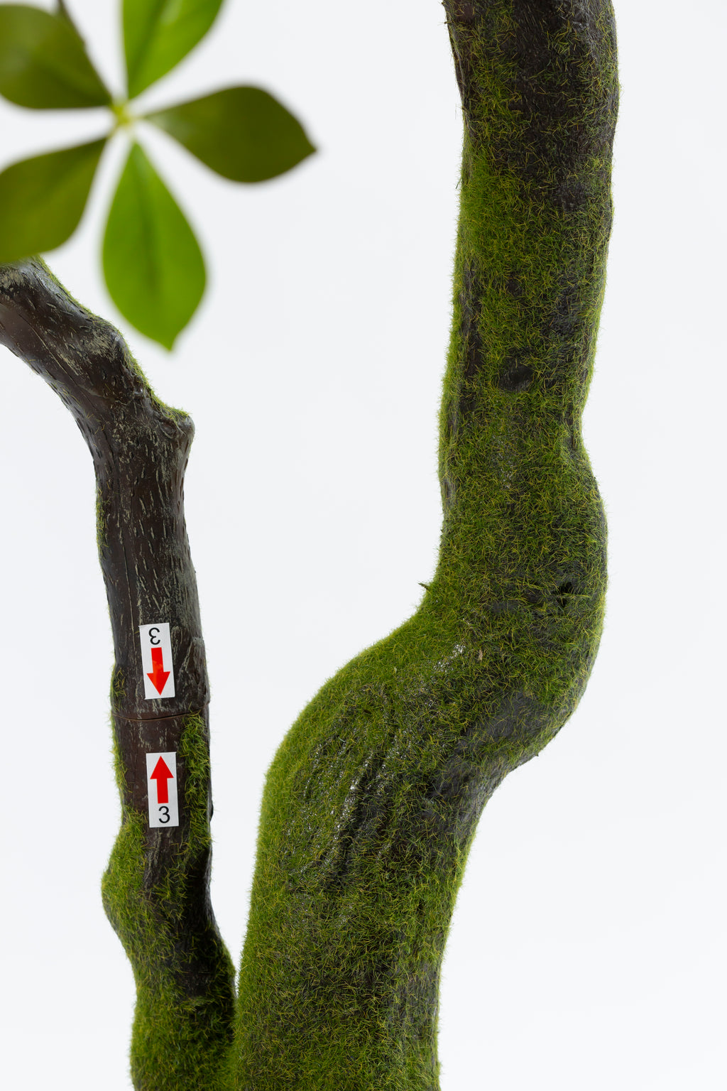 Bucida Bonsai kunstplant 170 cm
