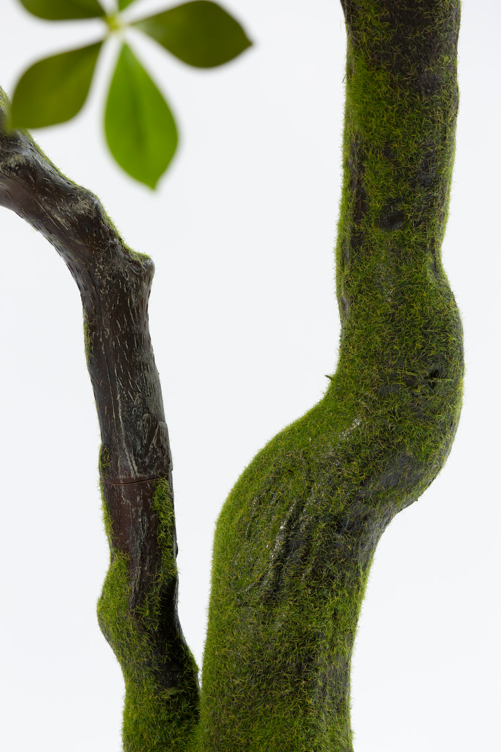 Bucida Bonsai kunstplant 170 cm