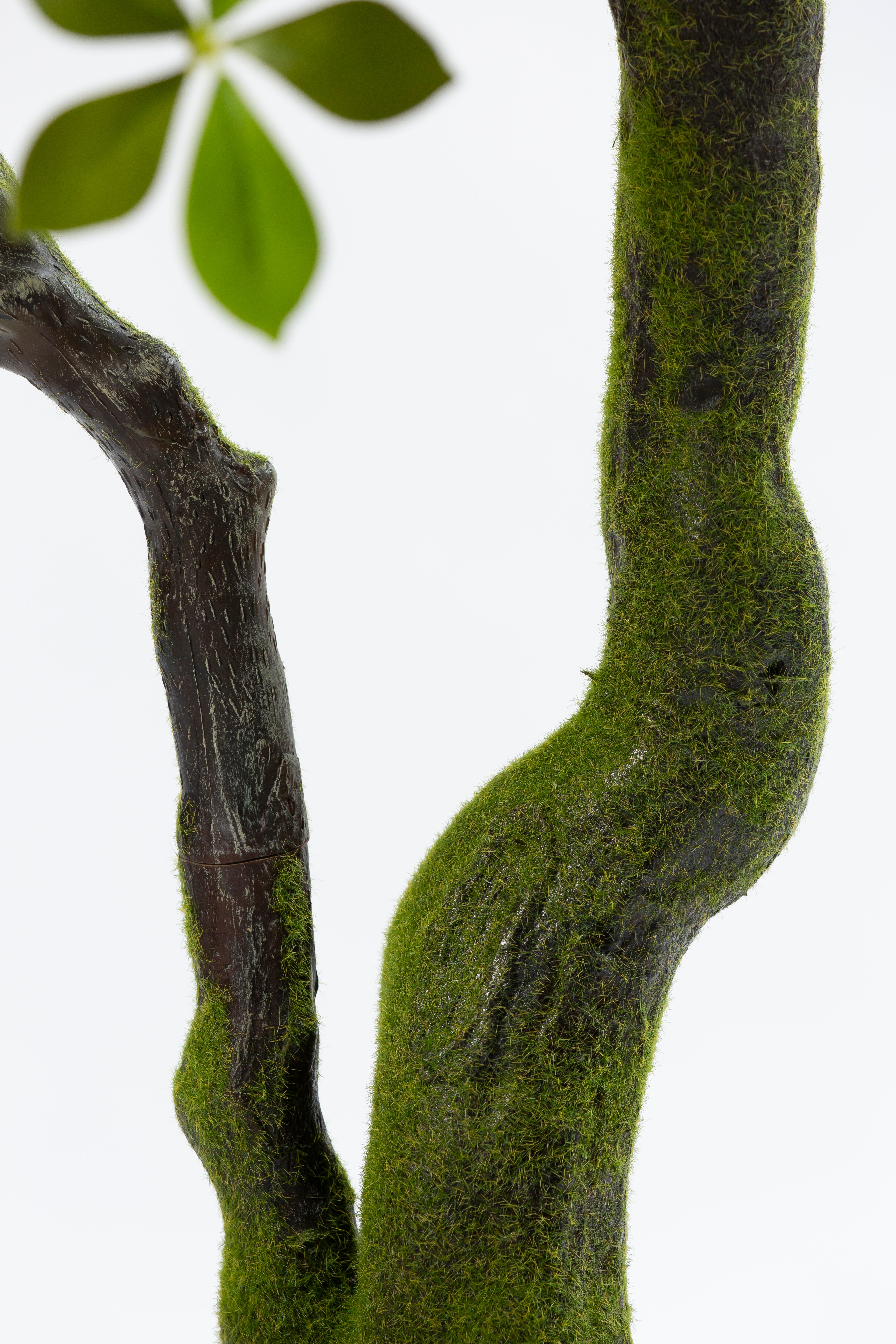 Bucida Bonsai kunstplant 170 cm