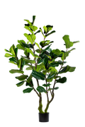 Ficus Lyrata kunstplant 220 cm