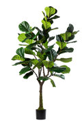 Ficus Lyrata kunstplant 200 cm