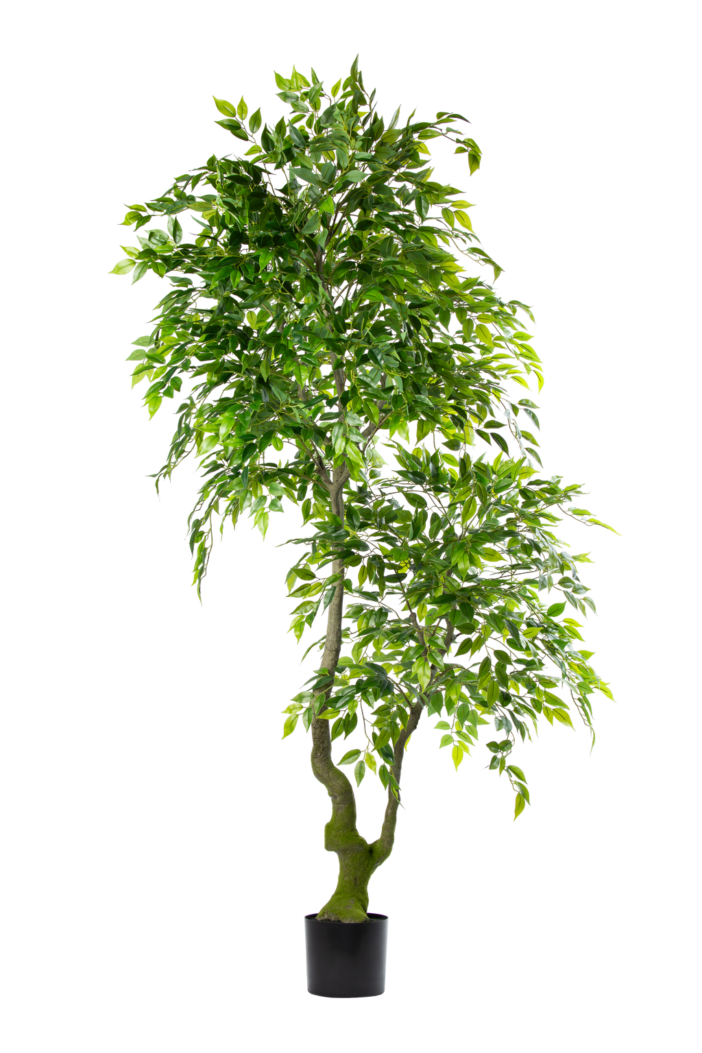 Ficus Benjamina kunstplant 210 cm
