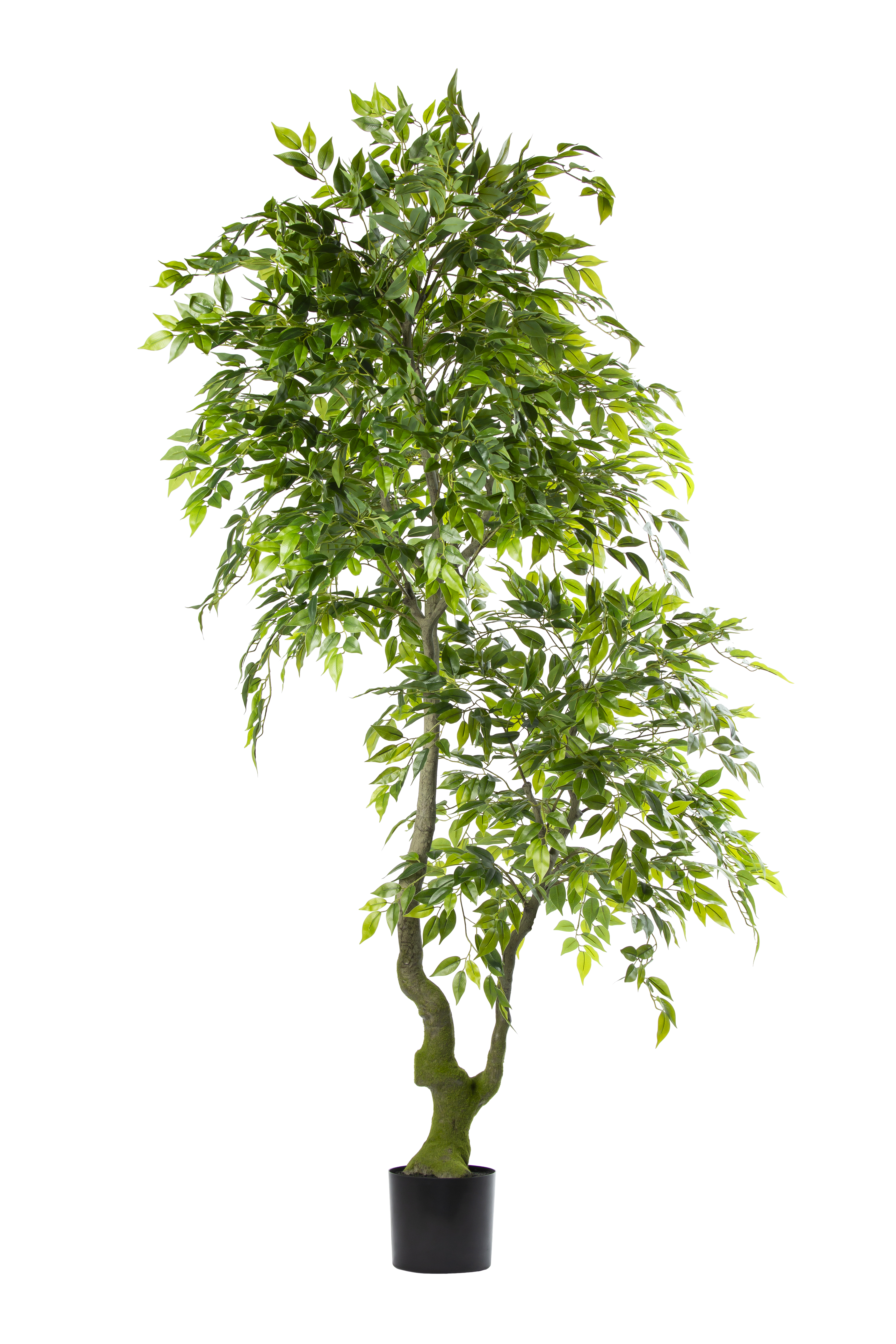 Ficus Benjamina kunstplant 210 cm
