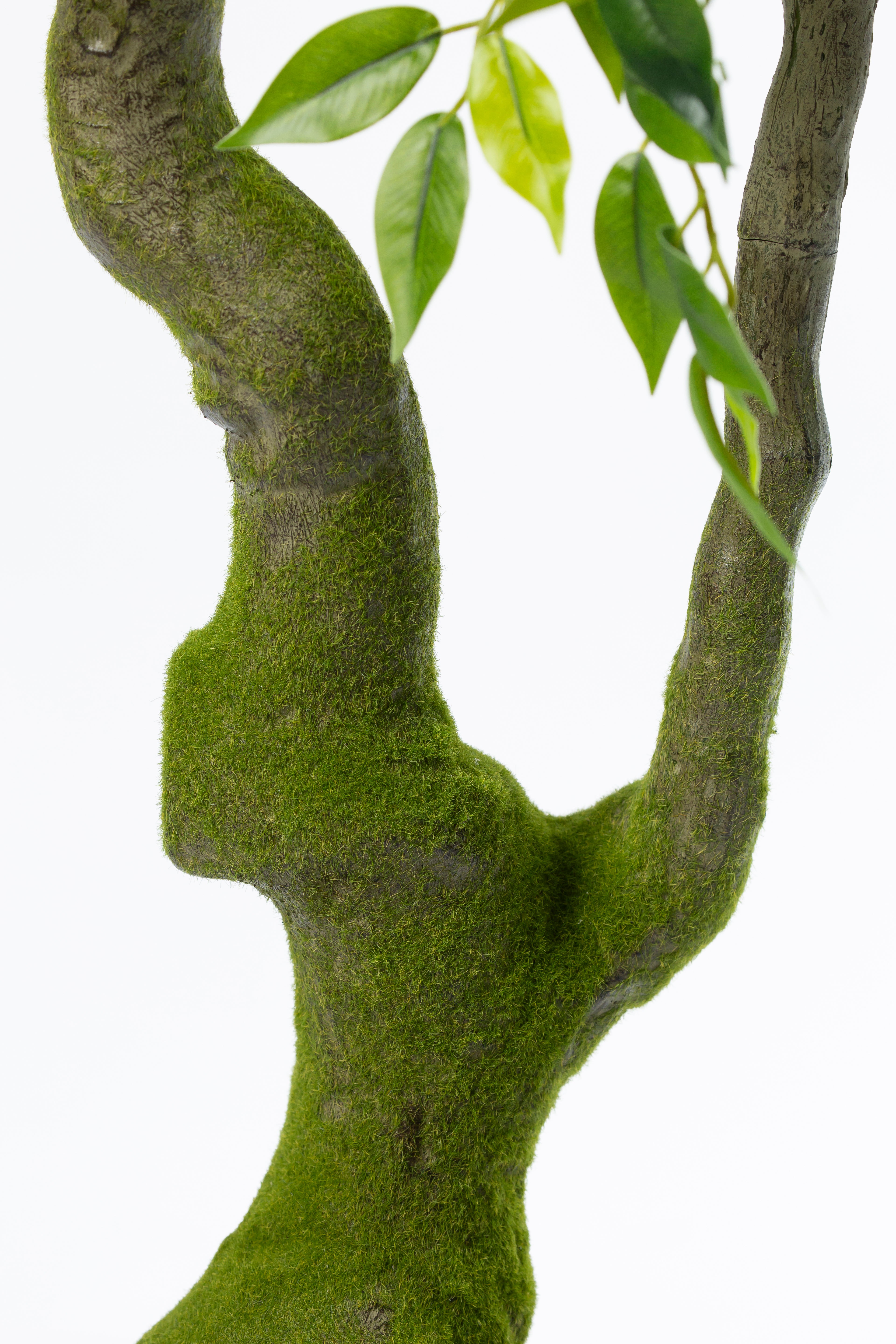 Ficus Benjamina kunstplant 210 cm