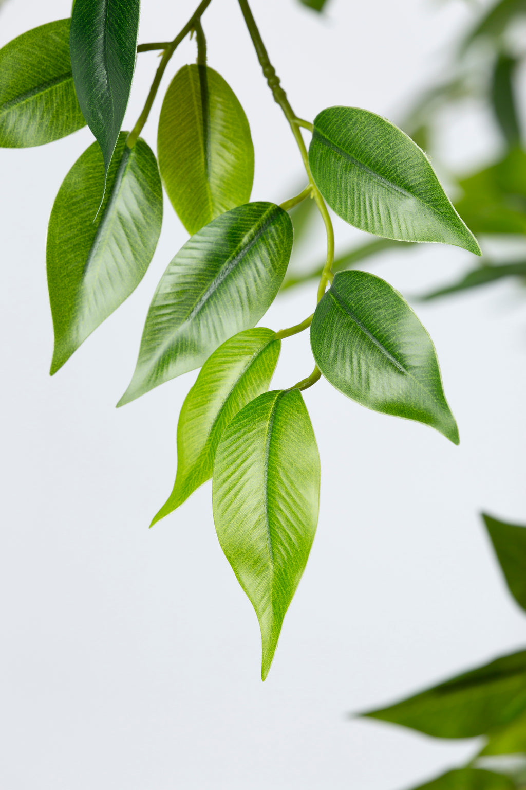 Ficus Benjamina kunstplant 210 cm