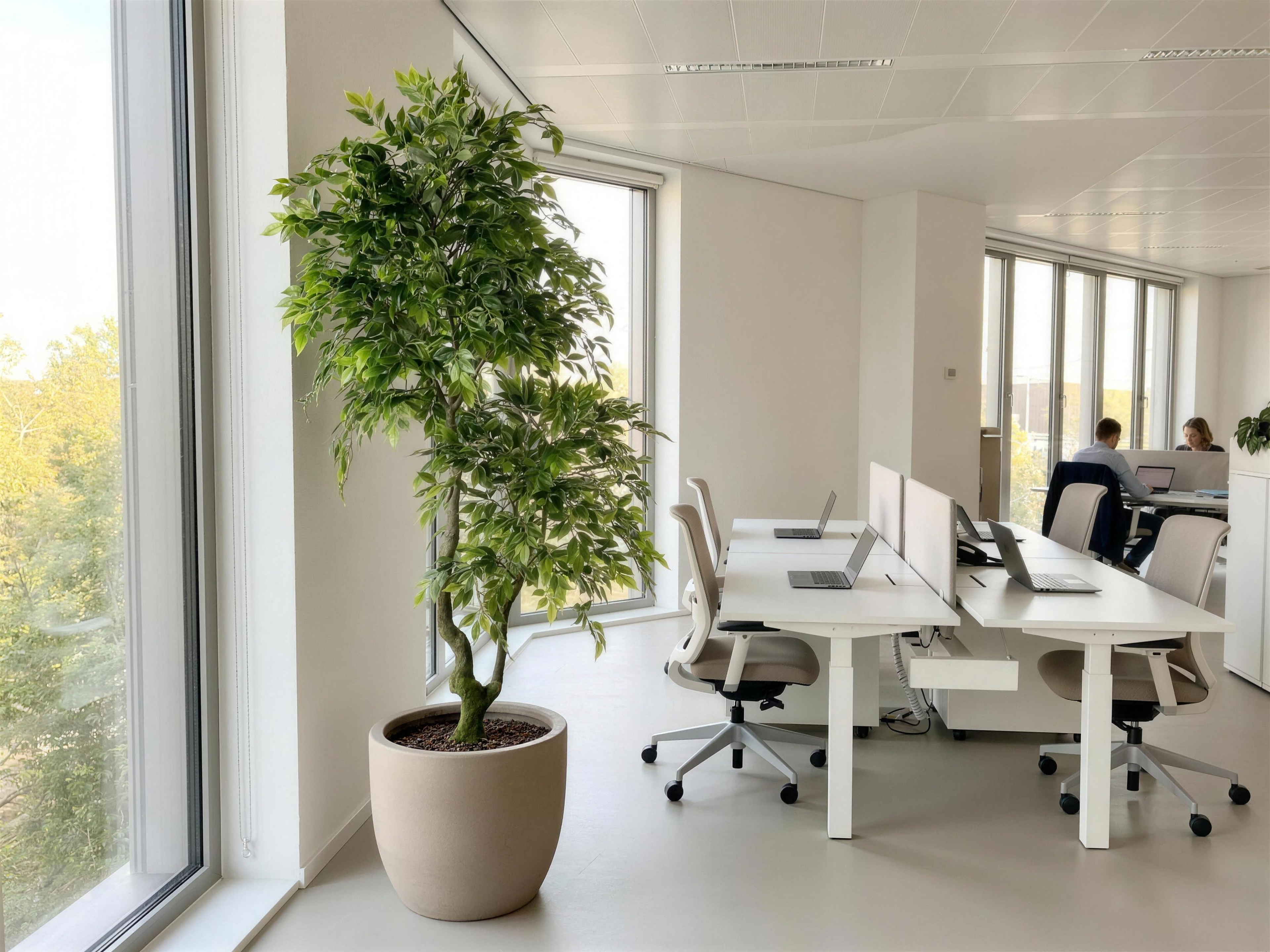 Ficus Benjamina kunstplant 210 cm sfeerbeeld