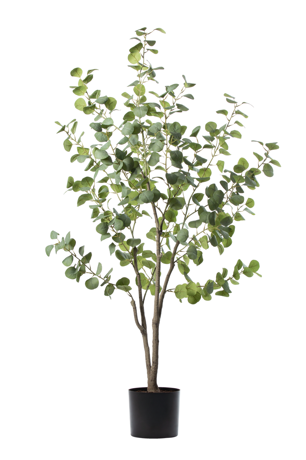Eucalyptus kunstplant 155 cm