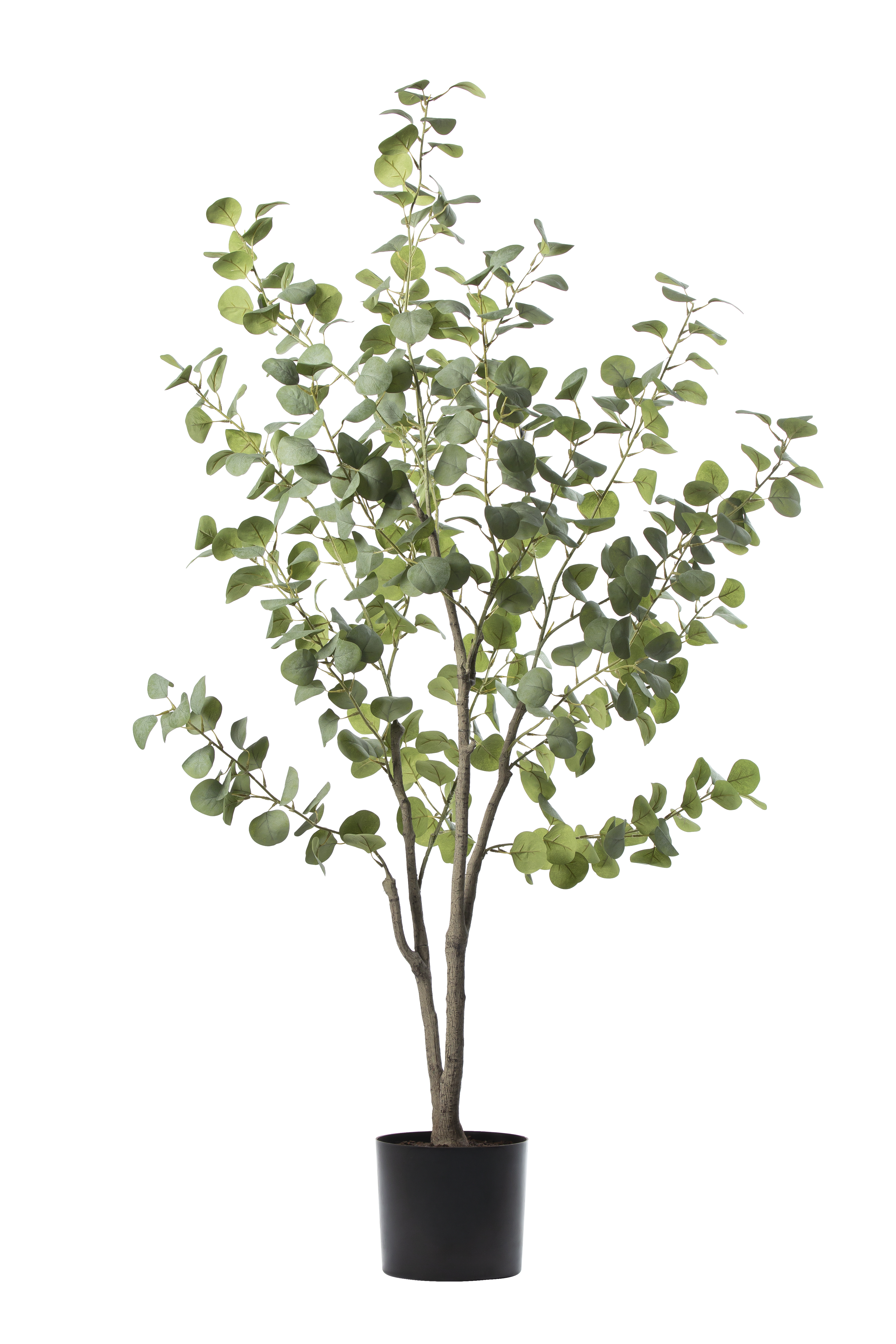 Eucalyptus kunstplant 155 cm