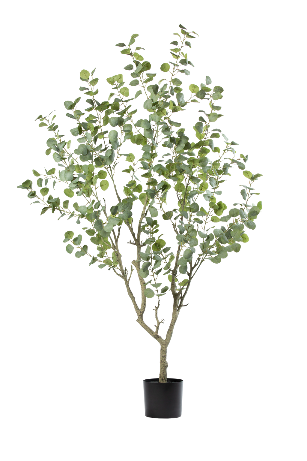 Eucalyptus kunstplant 190 cm