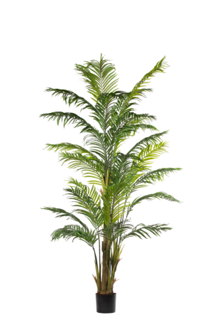 Palm Tree 250CM