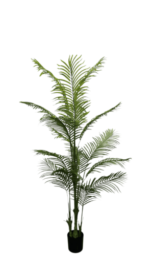 Palm Tree 220CM