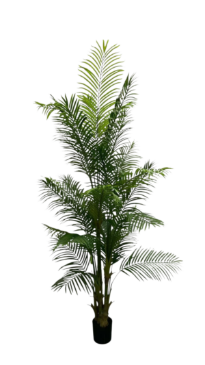 Palm Tree 250CM